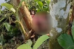 নবীগঞ্জে বড় ভাইয়ের ছুরিকাঘাতে প্রাণ গেল ছোট বোনের