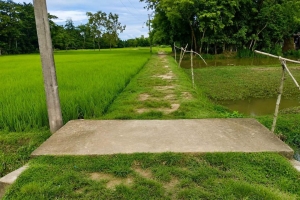 জকিগঞ্জ উপজেলায় সবুজের মাঝে সম্ভাবনার গ্রাম গুলো অপেক্ষা শুধু উন্নয়নের