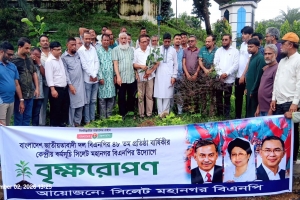বিএনপির ৪৮ বছরের ইতিহাস ত্যাগ, সংগ্রাম ও জনগণের পাশে থাকার ইতিহাস: নাসিম হোসাইন