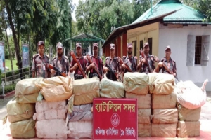 সিলেট সীমান্তে পৃথক অভিযানে ৭৮ লাখ টাকার চোরাচালানি মালামাল জব্দ