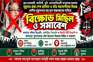 শেখ হাসিনার রায় বাস্তবায়নের দাবিতে টরন্টোতে বিএনপি ও অঙ্গসংগঠনের বিক্ষোভ মিছিল