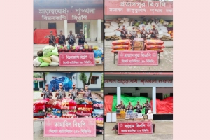 সিলেট সীমান্তে ৩০ লাখ টাকার ভারতীয় চোরাচালানি মালামাল জব্দ