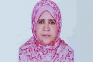 ব্যাগ ধরে টান দিল ছিনতাইকারী, রিকশা থেকে পড়ে শিক্ষিকার মৃত্যু