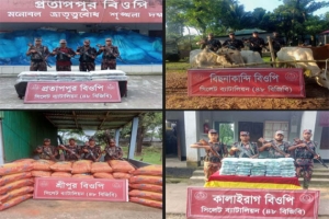 সিলেট সীমান্তে পৃথক অভিযানে চোরাচালানি মালামাল জব্দ