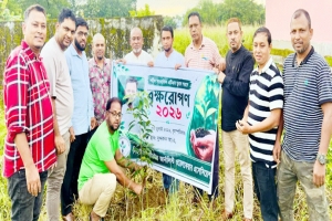 সাংবাদিক তুরাব স্মরণে ইউনাইটেড জার্নালিস্ট এসোসিয়েশনের বৃক্ষরোপণ