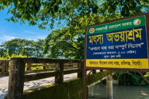 জকিগঞ্জ উপজেলার বিভিন্ন উন্নয়নের অপেক্ষায় এলাকাবাসী 