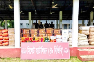 সিলেট সীমান্তে বিজিবির অভিযানে সোয়া ২ কোটি টাকার চোরাচালানি মালামাল জব্দ