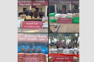 সিলেট সীমান্তে  অভিযানে ৩৫ লাখ টাকার চোরাচালানি মালামাল জব্দ